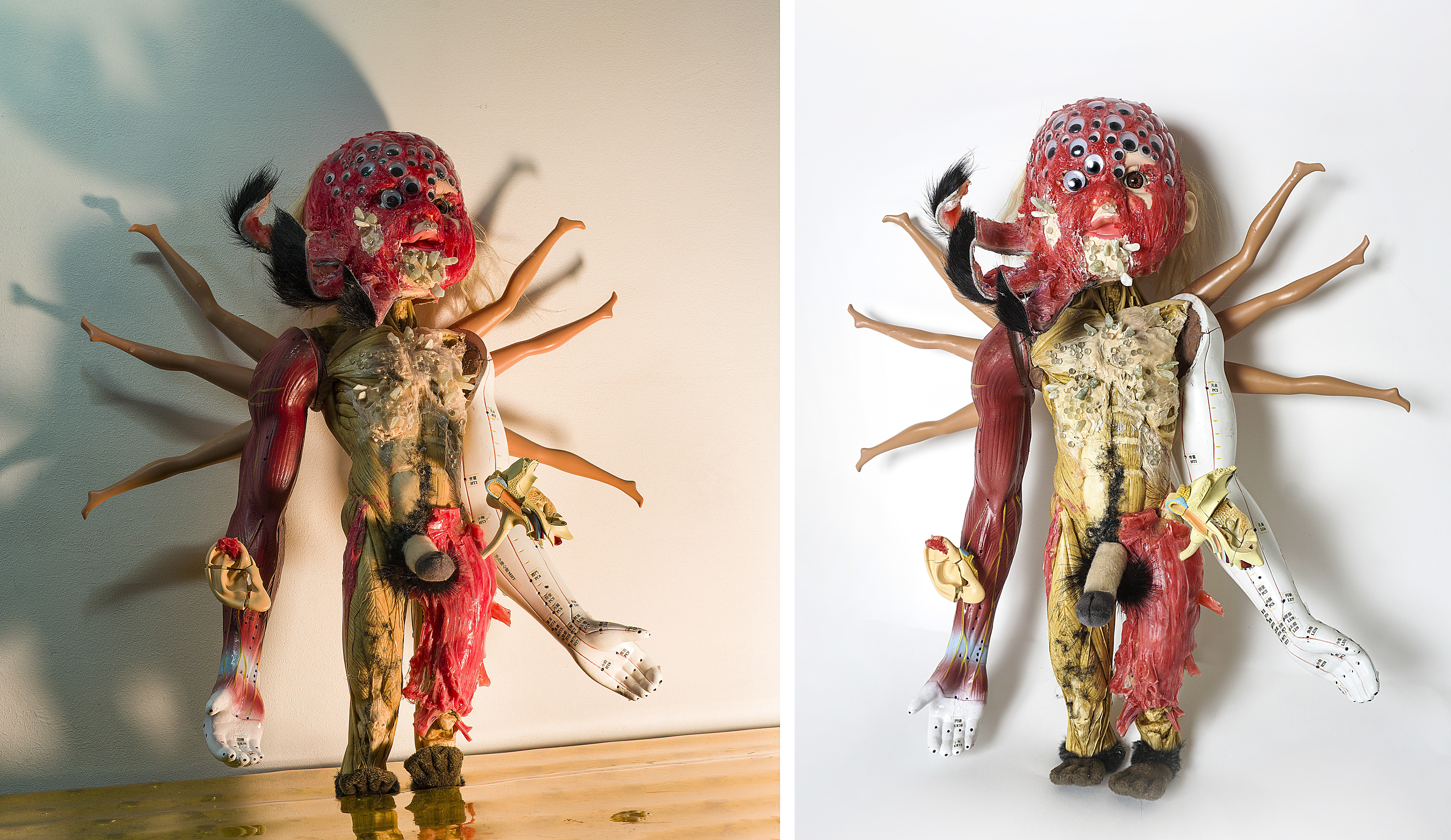 10 Anagram2, doll, anatomy model, beads, gravel, silicone, hair, mixed media, 35x20x50(cm), 2016