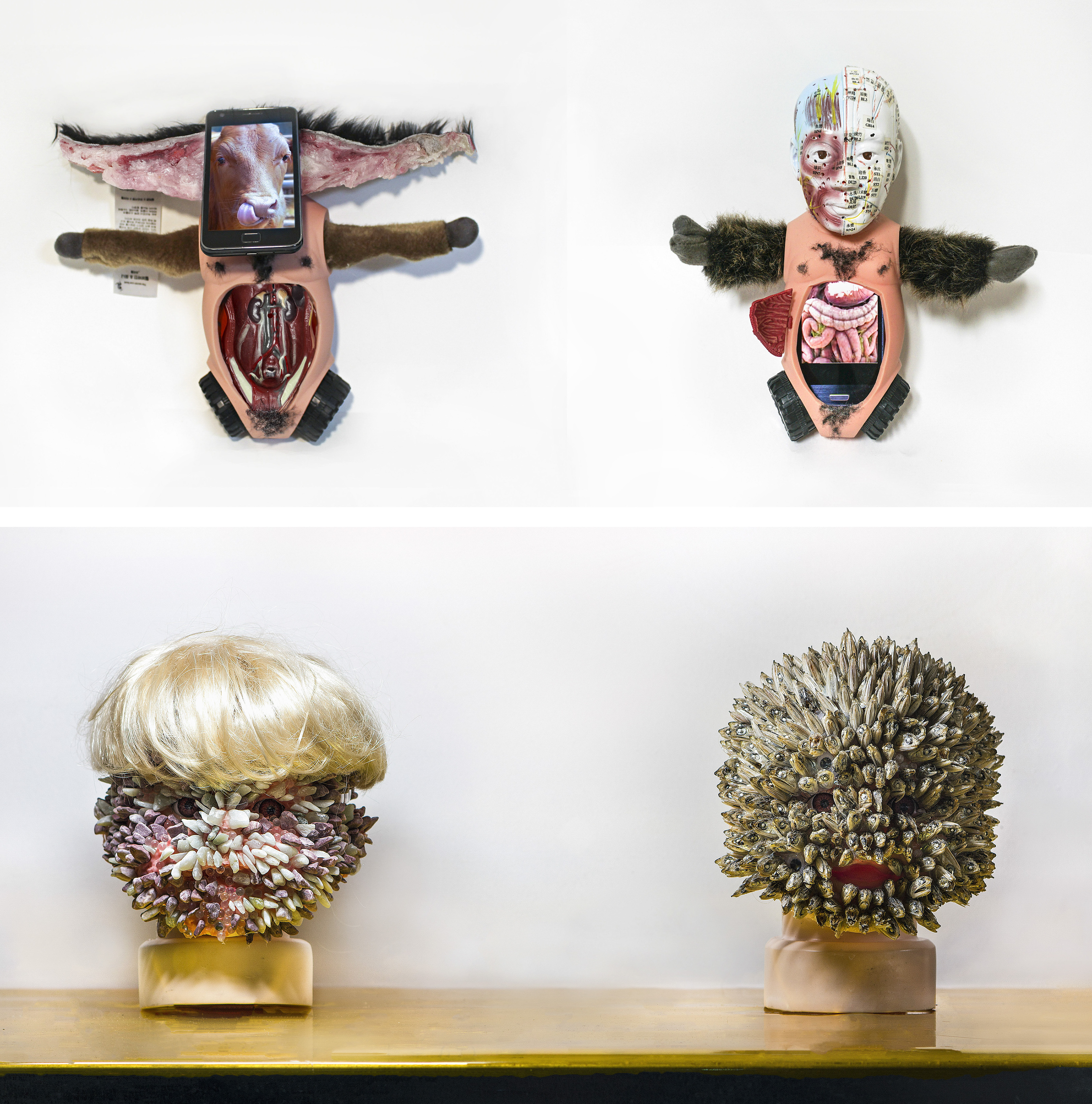 9 Anagram 7,8, Anagram10,11, doll, anatomy model, cellphone, hair, anchovy, mixed media 20x10x20(cm)